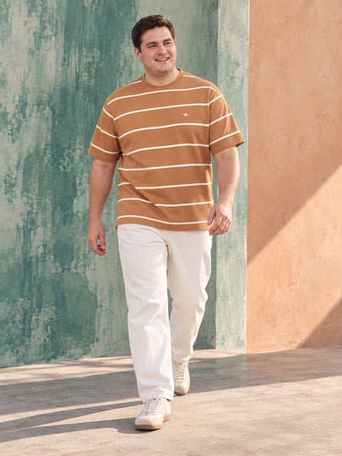 Dockers Men Rust Regular Fit Crew Neck Striped T-Shirt